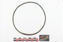 Foto von Bronzehalsring (NHMW-PRAE-023867)